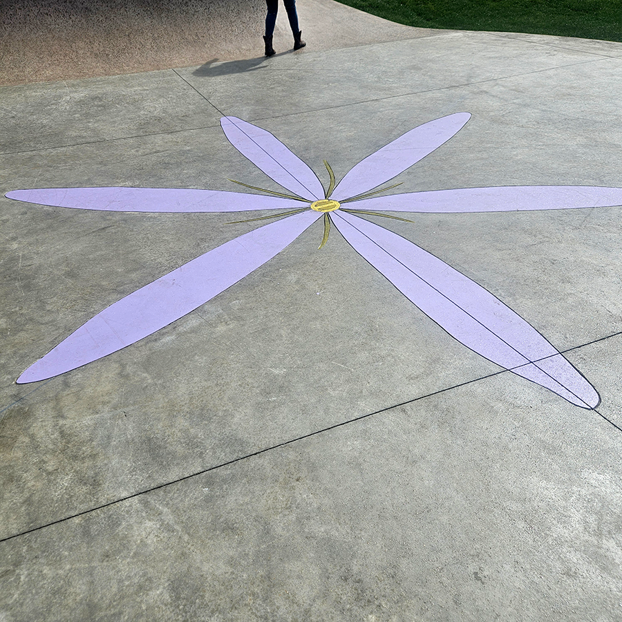 CHEHALIS_SKATEPARK2